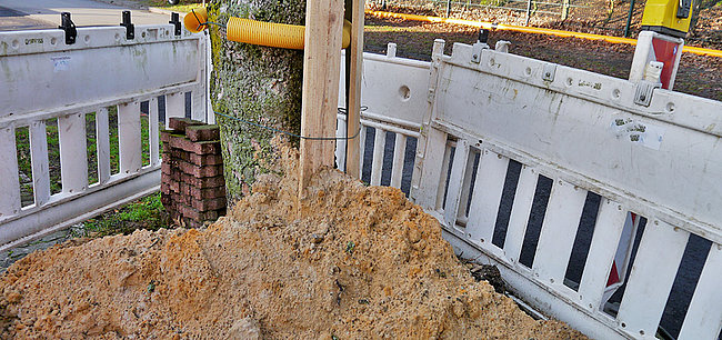 Baumschutz Baustelle Baumschutz Baustelle