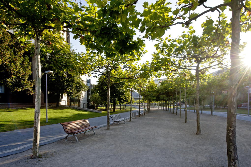 neu gestaltete innerstädtische Allee